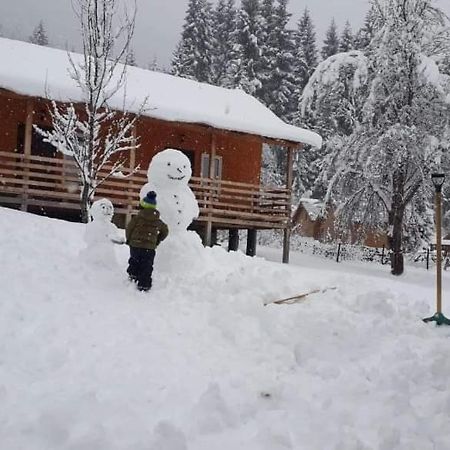 Cottage Shgedi เมสเตีย ภายนอก รูปภาพ