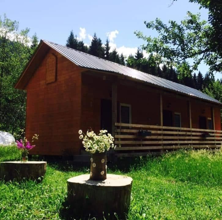 Cottage Shgedi เมสเตีย ภายนอก รูปภาพ