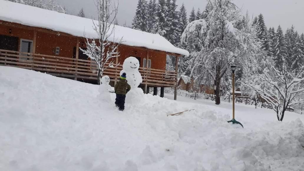 Cottage Shgedi เมสเตีย ภายนอก รูปภาพ