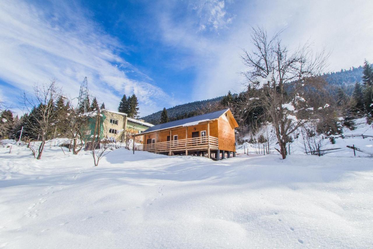 Cottage Shgedi เมสเตีย ภายนอก รูปภาพ
