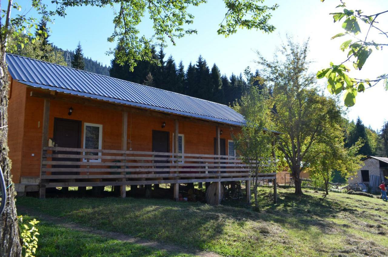 Cottage Shgedi เมสเตีย ภายนอก รูปภาพ
